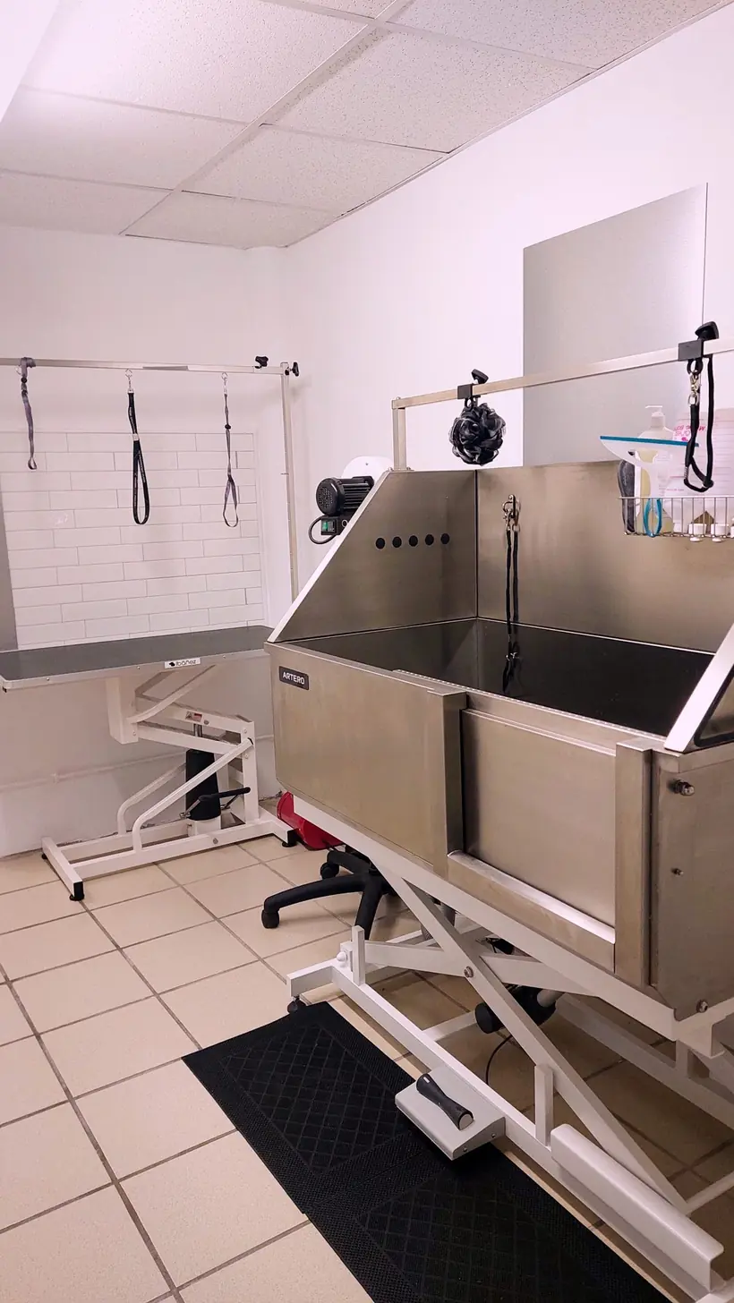 Espace bain professionnel